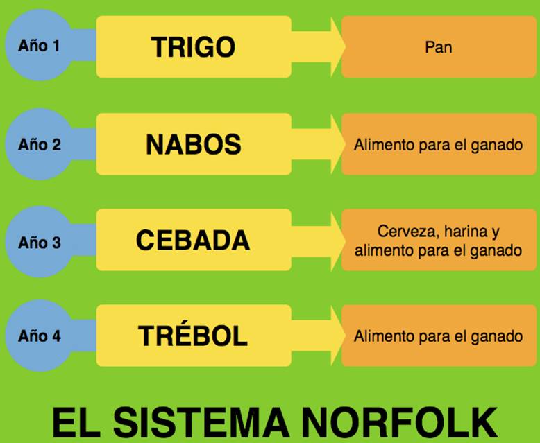 Sistema.norfolk